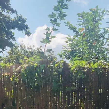 Zentrales Mit Terrasse 아파트