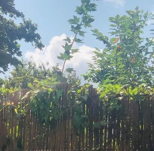 Zentrales Mit Terrasse Appartement